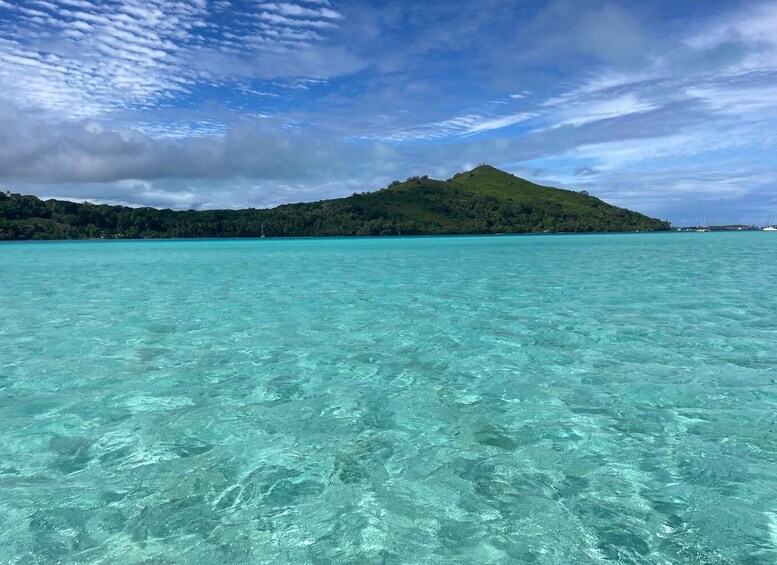 Picture 6 for Activity Bora Bora: 1/2 day lagoon safari - Shared tour