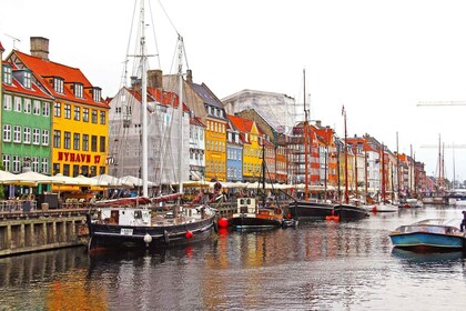 Visita Privada a Pie de Copenhague