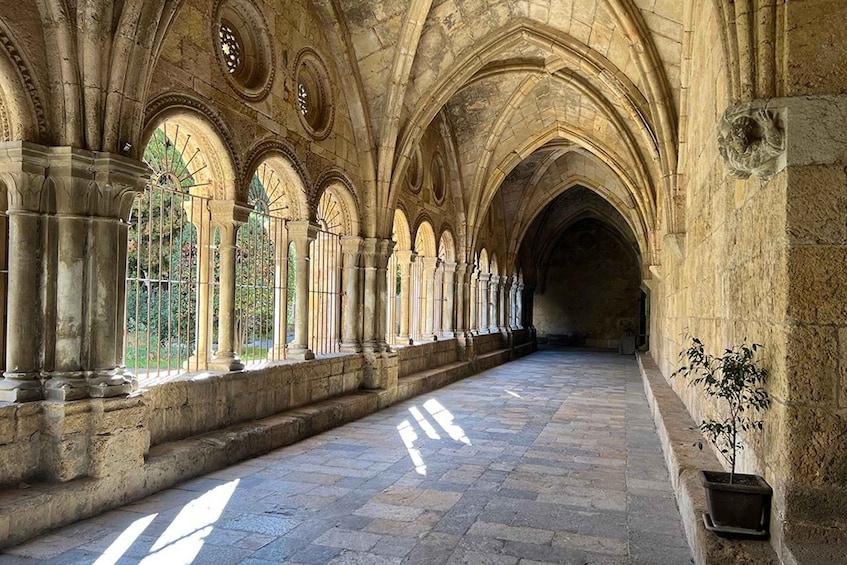 Picture 12 for Activity Barcelona: Tarragona & Sitges Guided Day Trip with Transfers