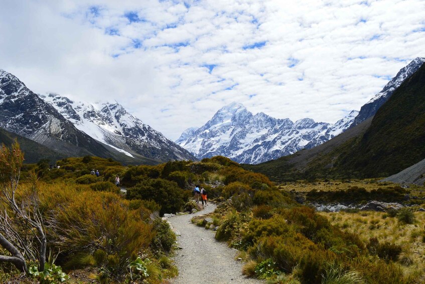 Picture 5 for Activity From Queenstown: Mount Cook Private Day Tour
