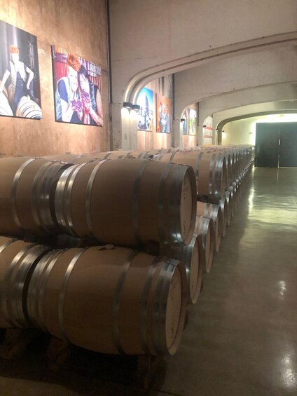 Picture 36 for Activity Rioja Experience: Tour of 3 wineries + tastings