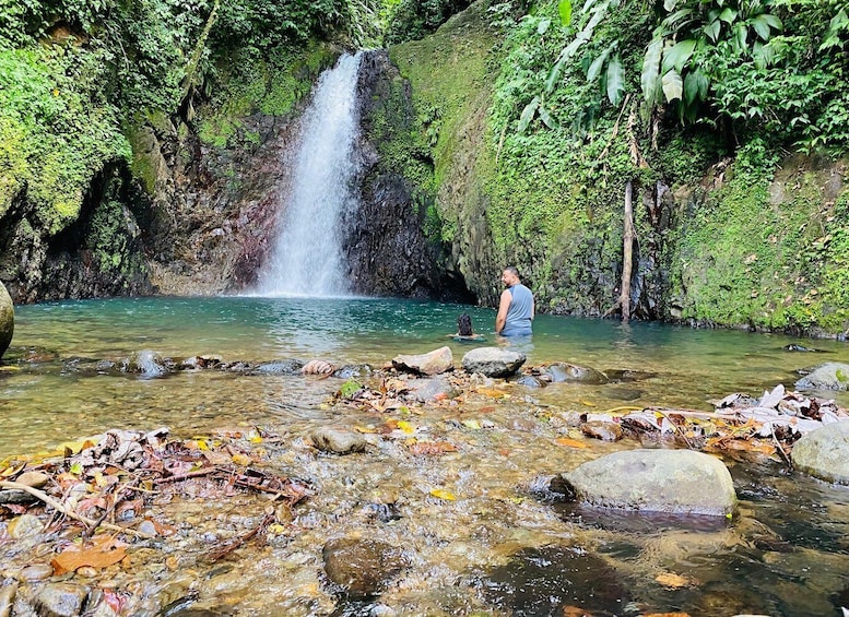 Picture 15 for Activity Experience the natural beauty and culture half day tour