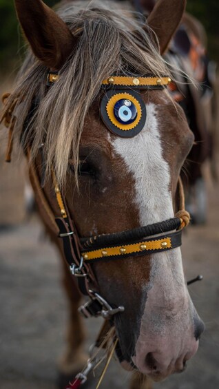 Picture 12 for Activity Kastraki: Meteora Sunset Horseback Riding