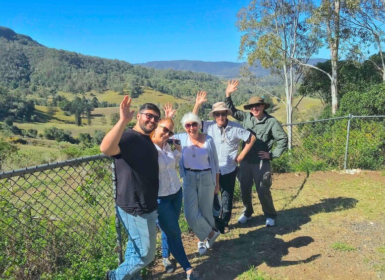 Picture 2 for Activity Noosa: Mary Valley Tour with Mary Valley Rattler and Lunch