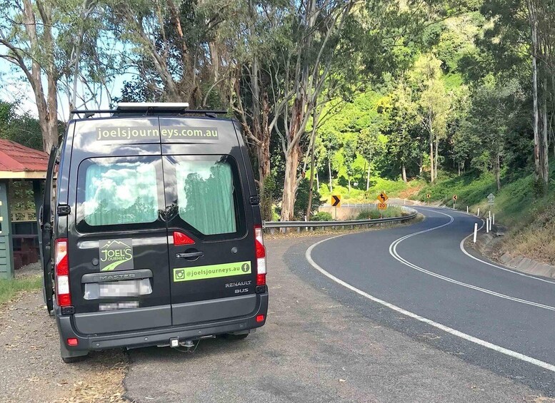 Picture 7 for Activity Noosa: Mary Valley Tour with Mary Valley Rattler and Lunch