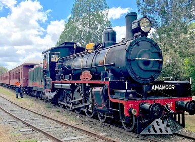 Noosa: Mary Valley Tour mit Mary Valley Rattler und Mittagessen