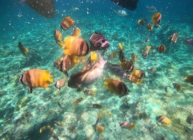 Best of Nusa Penida Day Tour and Private Snorkelling