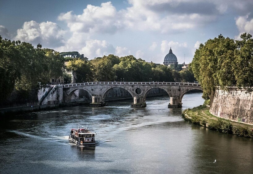 Picture 3 for Activity Rome On Your Own Full-Day Tour From Civitavecchia