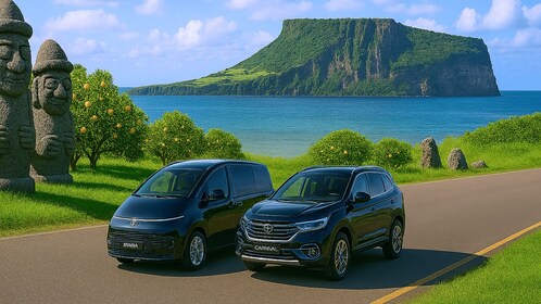 Jeju : Popular Sightseeing Private Car Charter Tour