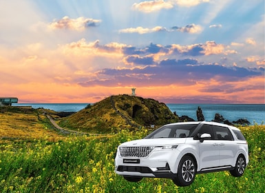 Jeju : Popular Sightseeing Private Car Charter Tour