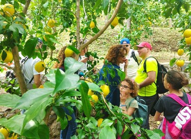 Trekking Lemon Tour