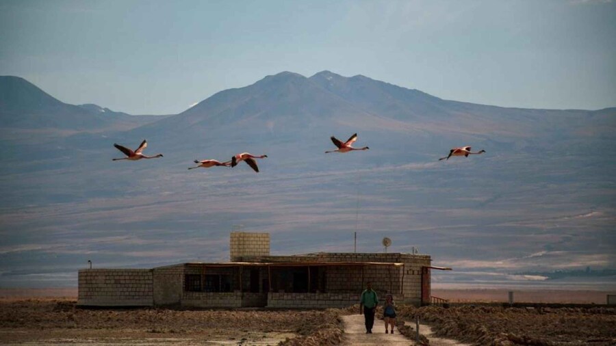 San Pedro de Atacama: Red Rocks and Aliplanic Lagoons
