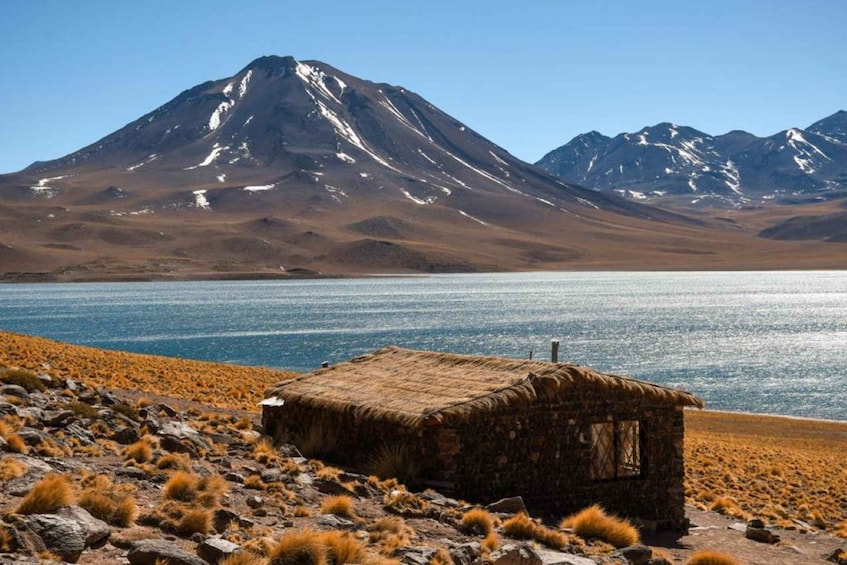 Picture 1 for Activity San Pedro de Atacama: Red Rocks and Aliplanic Lagoons