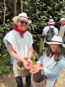 Medellin: Coffee Tour in the Beautiful Mountains of Medellin