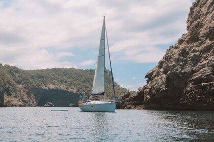 Day Sailing Tour in Port de Soller, Mallorca