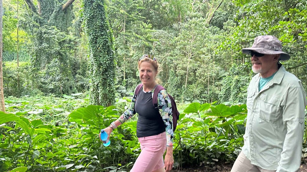 Picture 4 for Activity Manoa Falls eBike to Hike