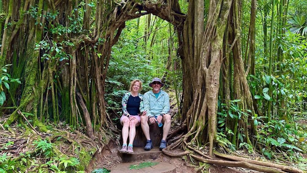 Picture 2 for Activity Manoa Falls eBike to Hike