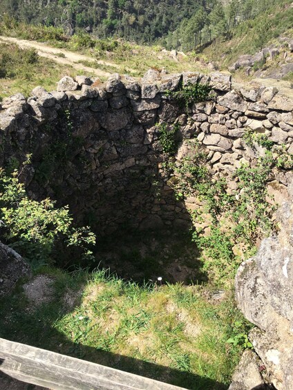 Picture 7 for Activity Gerês National Park Waterfalls and wolf village in 4x4