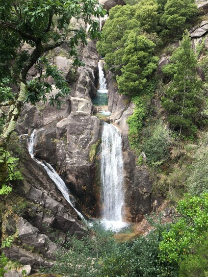 Picture 14 for Activity Gerês National Park Waterfalls and wolf village in 4x4