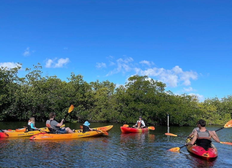 Picture 3 for Activity Cocoa Beach: Daytime Guided Kayak Eco-Tour