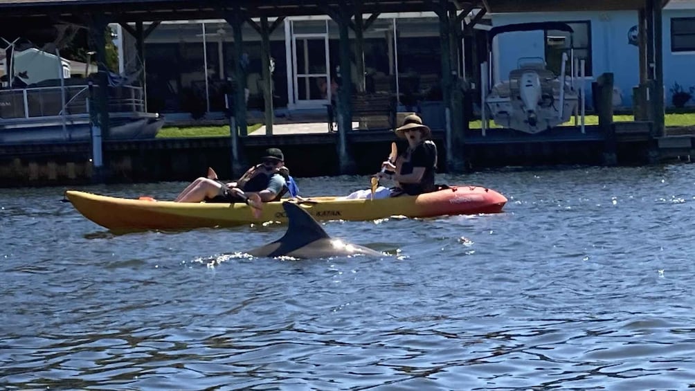 Picture 1 for Activity Cocoa Beach: Daytime Guided Kayak Eco-Tour