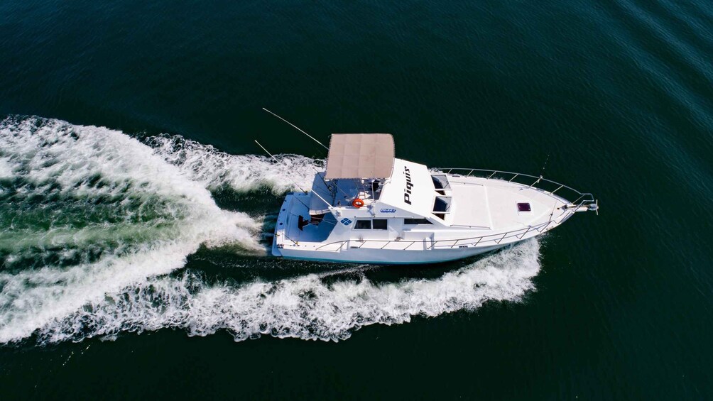 Picture 7 for Activity Custom 46' Boat in Puerto & Nuevo Vallarta