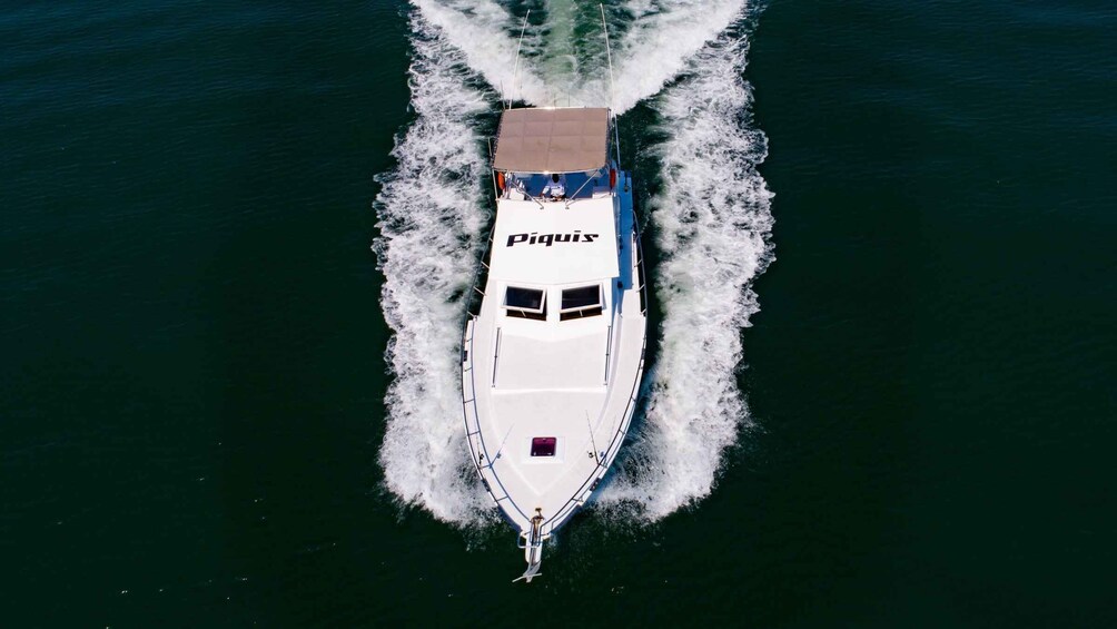 Picture 8 for Activity Custom 46' Boat in Puerto & Nuevo Vallarta