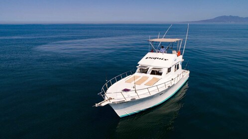 Bateau personnalisé de 46' à Puerto et Nuevo Vallarta