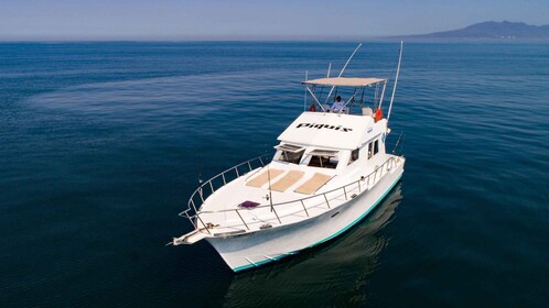 Bateau 46' sur mesure à Puerto et Nuevo Vallarta