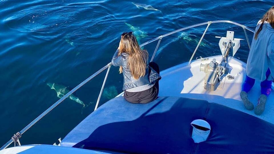 From Benalmádena & Torremolinos: Dolphin Watch Boat Trip