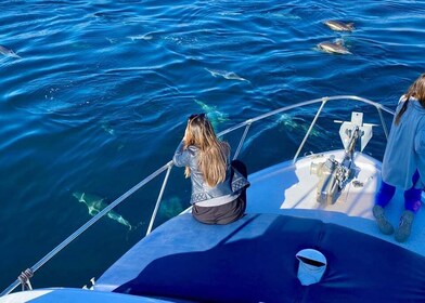 Fra Benalmádena og Torremolinos: Bådtur med delfinobservation