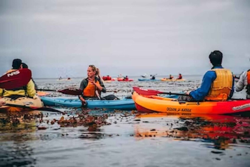 Picture 4 for Activity Monterey: Cannery Row Kayak Tour