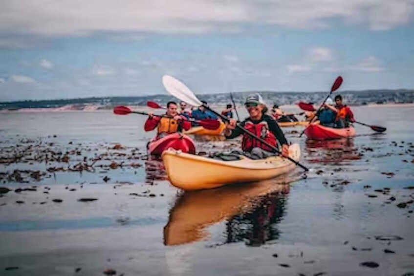 Monterey: Cannery Row Kayak Tour