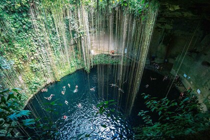 Chichen Itza & Cenote Private Tour