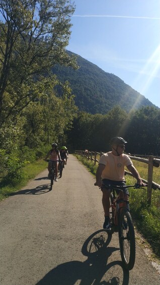 Picture 1 for Activity Locarno and Ascona scenic e-bike cycling tour