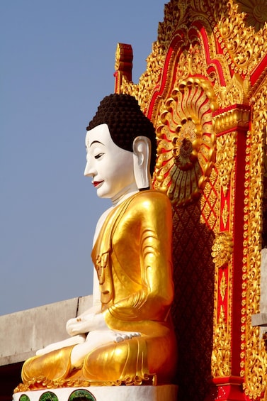 Picture 3 for Activity Global Vipassana Pagoda : Half Day Tour with Transfer
