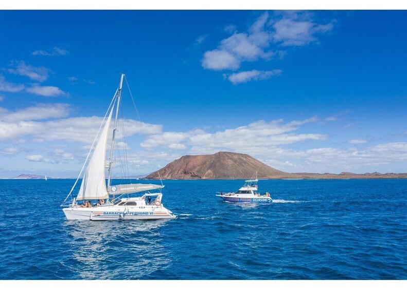Picture 7 for Activity Fuerteventura : Catamaran excursion to Lobos Island