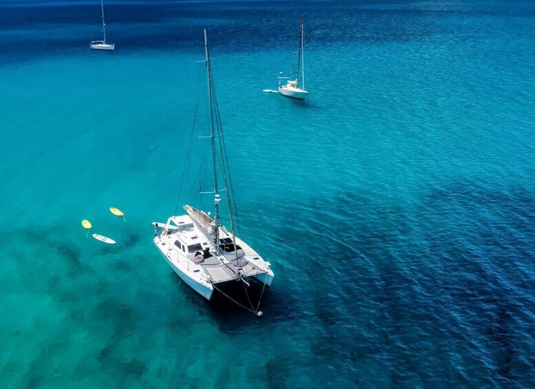 Picture 2 for Activity Fuerteventura : Catamaran excursion to Lobos Island