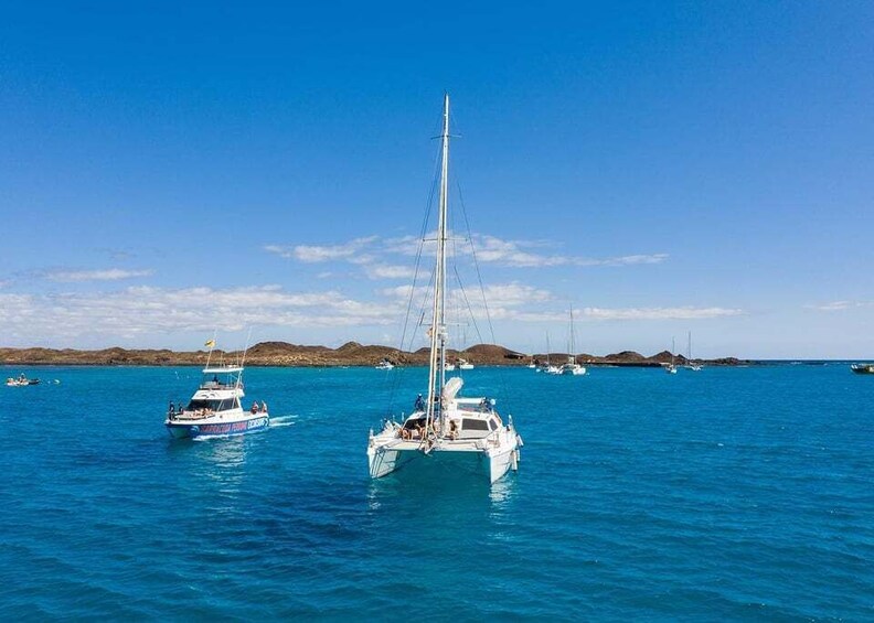 Picture 4 for Activity Fuerteventura : Catamaran excursion to Lobos Island