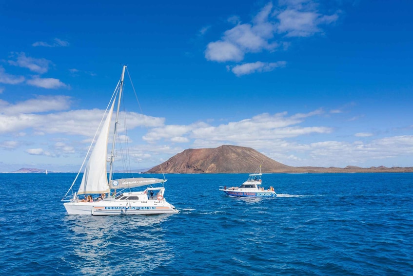 Fuerteventura : Catamaran excursion to Lobos Island