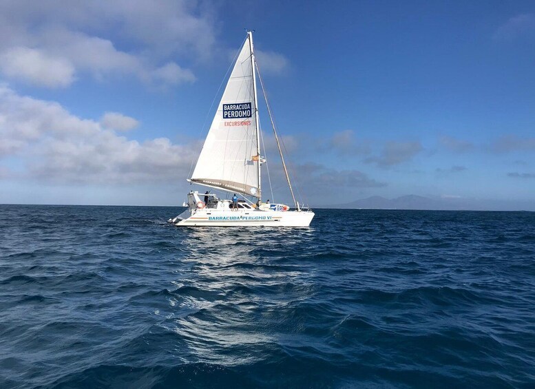 Picture 6 for Activity Fuerteventura : Catamaran excursion to Lobos Island