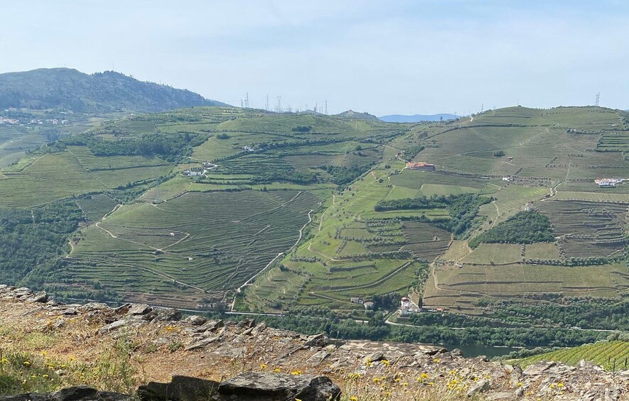 Picture 1 for Activity Douro: luxury walking with full lunch at Quinta do Vallado