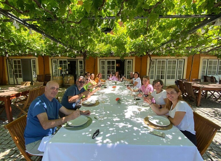 Picture 6 for Activity Douro - Vallado: luxury walking, picnic and wine tasting