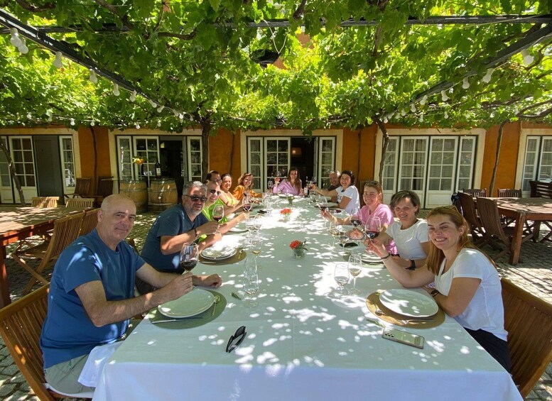 Picture 6 for Activity Douro: luxury walking with full lunch at Quinta do Vallado