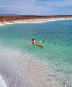 San Pedro de Atacama: Lagunas Balinache