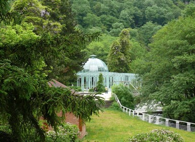 Tiflis: ciudad de la cueva de Uplistsikhe y parque nacional Borjomi