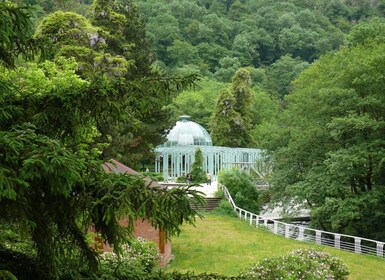 Tiflis: Uplistsikhe-Höhlenstadt und Borjomi-Nationalpark