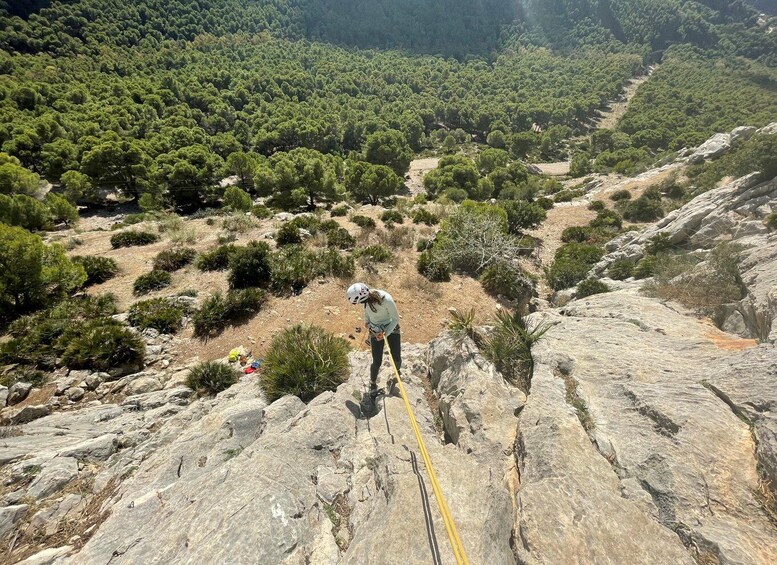 Picture 9 for Activity Málaga: Caminito del Rey and El Chorro Climbing Trip