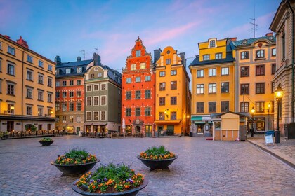 Økosykkeltur i Stockholms gamleby, Djurgården og naturen