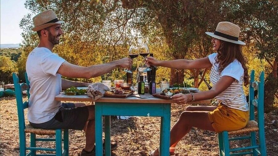 Sardinian Olive Oil tasting & Picnic among the olive trees